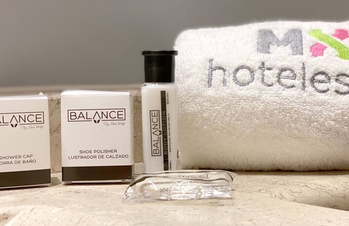 Santa Maria la Ribera Hotel | Hotel MX Forum Buenavista