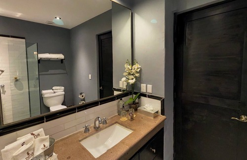 Zona Centro Hotel | Hotel Nena