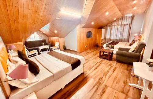 New Manali Hotel | Hotel New Hadimba Palace Inn - Mountain View with Premium Rooms Near Mall Road , Manali