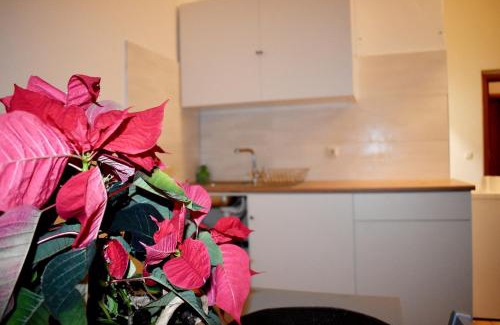 Innere Neustadt Hotel | Hotel New Town