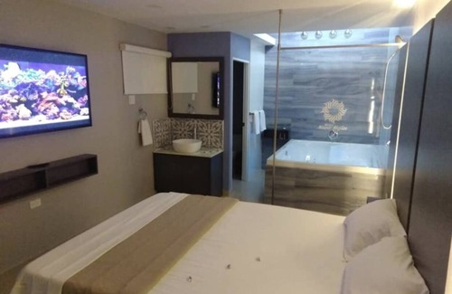 Magueyes Hotel | Hotel Nuevo Mejico