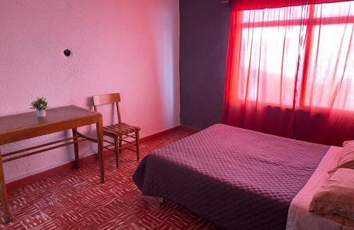 Zona Centro Hotel | Hotel Osaenzz