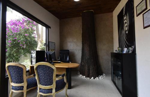 Teotihuacan Centro Hotel | Hotel Palmas Teotihuacán