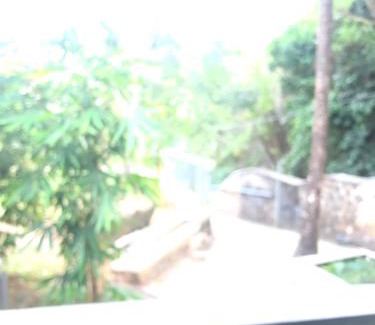 Unawatuna Hotel | Hotel Paradiso,