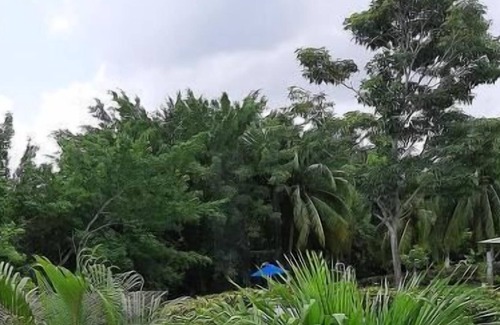 Cartagena District Hotel | HOTEL PARADOR TROPICAL