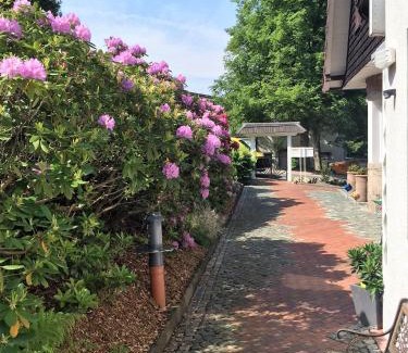 Braunlage Hotel | Hotel-Pension Teutonia