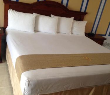 Zona Centro Hotel | Hotel Plaza Colonial