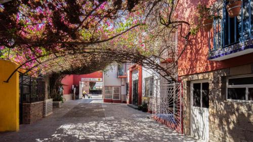 San Luis Potosi Hotel | Hotel Posada Bugambilias