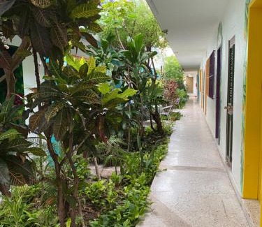Colonia Centro Hotel | Hotel Posada Edem