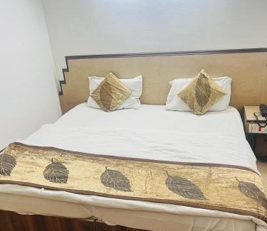 Paharganj Hotel | HOTEL RAMA INN, New Delhi Station