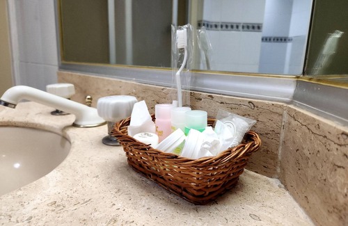Coyoacan Hotel | Hotel Real del Sur