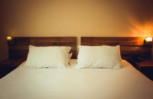 Tres Pinheiros Hotel | Hotel Renascença