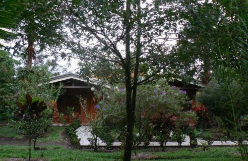 La Fortuna Hotel | Hotel Roca Negra Del Arenal