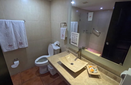 Centro Hotel | Hotel Roma Guadalajara