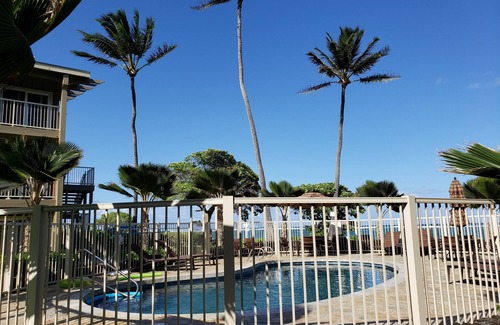 Wailua Apartment | 🌴Hotel Room w/in beautiful Oceanfront Condo.🌸