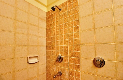 Mysore Hotel | Hotel Roopa