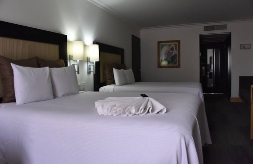 Zona Rosa Hotel | Hotel Royal Reforma