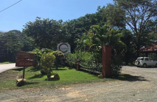 Ballena Hotel | Hotel Samsara