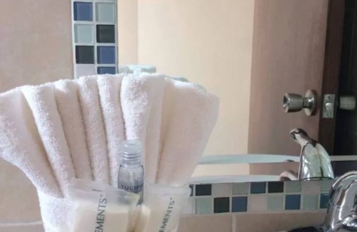 Tuxtla Gutierrez Hotel | Hotel San Miguel