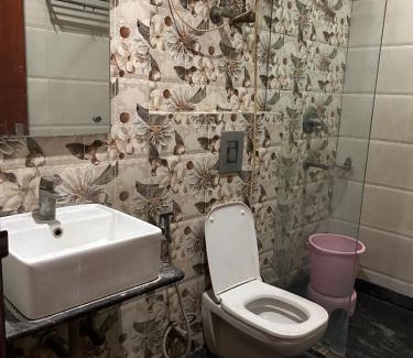 Old Delhi House | Hotel Sapphire Dlx 50 Meter From New Delhi Railway Station