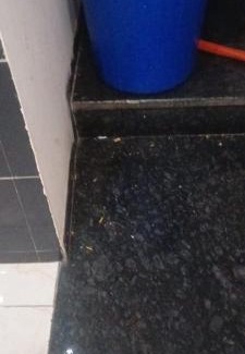 Mahipalpur Extension Hotel | Hotel shanti