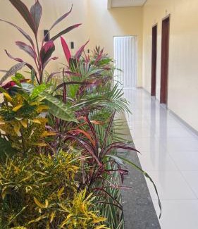 Anapurus Hotel | Hotel Soares