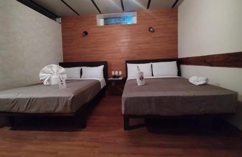 Historic Center Hotel | Hotel Sonno Plaza Allende