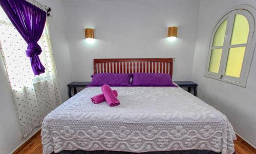 Guanajuato Hotel | Hotel Spa Maggic Home Panorámica