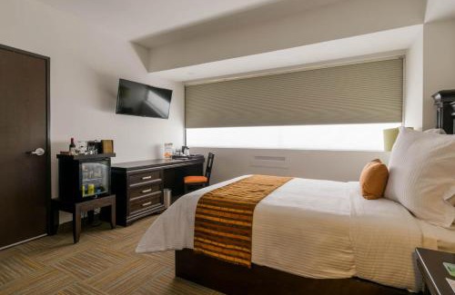 Leon Hotel | Hotel Stadium Leon