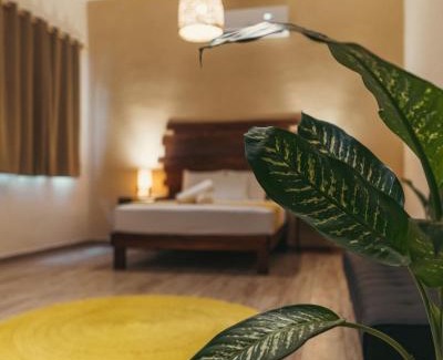 Centro Hotel | Hotel Sur Bacalar