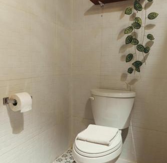Centro Hotel | Hotel Sur Bacalar