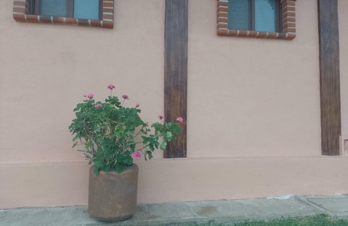 Valle de Atongo Bed & Breakfast | Hotel Tepopula