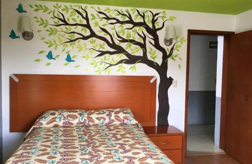 Zacatecas Centro Hotel | Hotel Terraza Castro