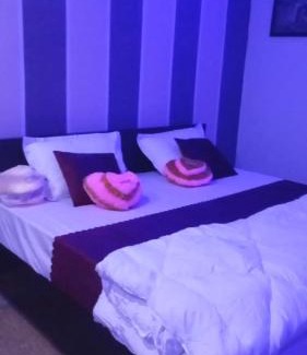 Jodhpur House | Hotel the saffron leaf inn