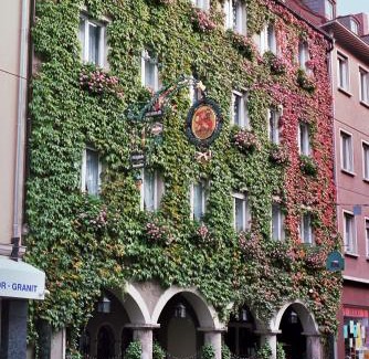 Wurzburg City Centre Hotel | Hotel Till Eulenspiegel - Nichtrauchhotel - Garni