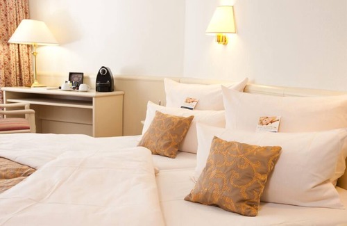 Mainz-Bingen Hotel | Hotel Traube Rüdesheim