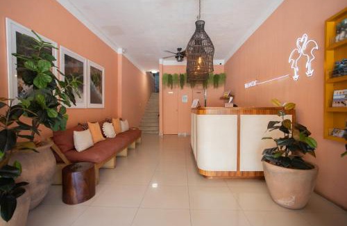 Emiliano Zapata Hotel | Hotel Tropicus Boutique