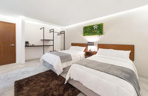Chetumal Hotel | Hotel Urban 101
