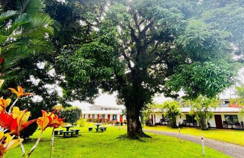 Barrio Dora Hotel | Hotel Villa Fortuna