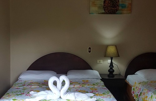 Cariari Hotel | Hotel Vista al Tortuguero