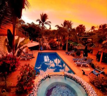 Brisas de Zicatela Hotel | HOTELITO SWISS OASIS, Playa Zicatela - Adults Only - Kitchen - Cocina