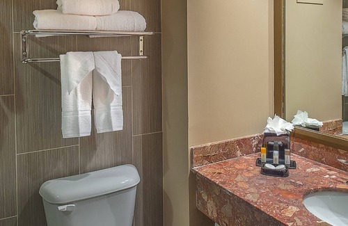 Downtown St. Louis Hotel | HoteLumiere at the Arch