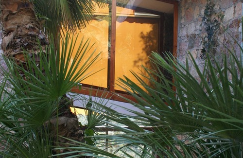 Campiglia Marittima Villa | House with private wood and pool