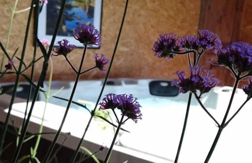 Allemond House | House 6 people with panoramic views of the surrounding mountains.