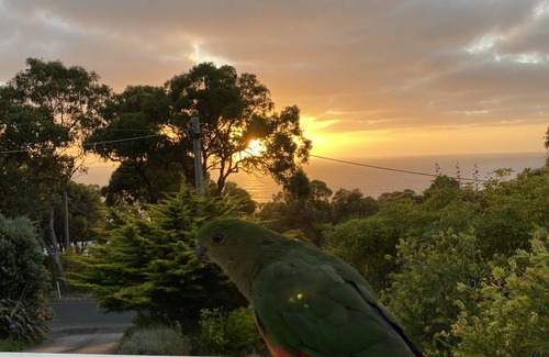 Lorne House | House 83, Holiday House Lorne