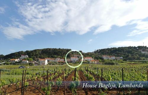 Lumbarda Apartment | House Baglija