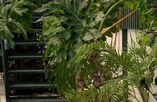 Charneca de Caparica e Sobreda House | House BLZ