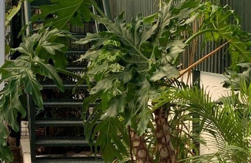 Charneca de Caparica e Sobreda House | House BLZ