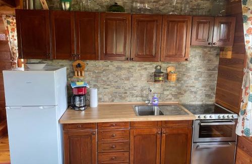 Duga Resa House | House for rent Mrežnica