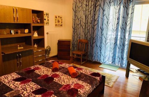 Spata-Artemida Apartment | House Mario’s airport 2